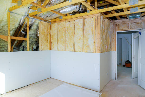 Best Geographic-Specific Insulation Services in Winters, TX