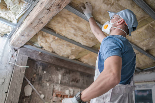 Best Cellulose Insulation in Winters, TX